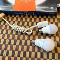 蛍光灯、電球セット
の画像