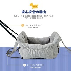 ドライブベッドの画像