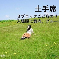 酒田の花火 2025 観覧席 チケット 土手席1枚の画像