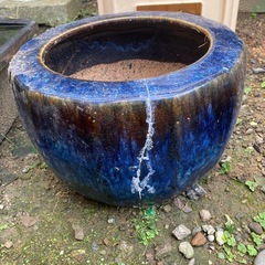 鉢鉢
の画像