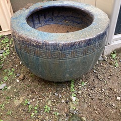鉢の画像