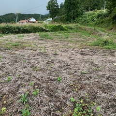 畑の土の画像