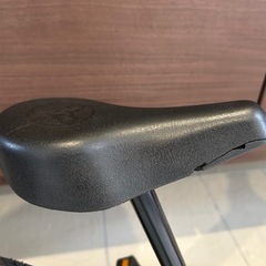 ストライダーの画像