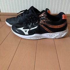 3日間限定⭐︎ミズノ　バレーボールシューズの画像