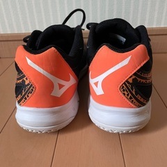 3日間限定⭐︎ミズノ　バレーボールシューズの画像