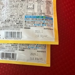 ドライカレーの素の画像