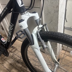 LOUIS GARNEAU ルイガノマウンテンバイク 26インチ の画像