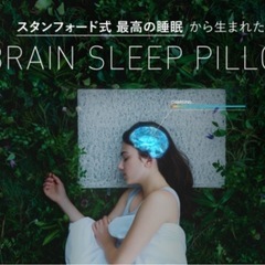  [BRAIN SLEEP] ブレインスリープ ピローの画像
