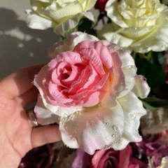 造花の画像