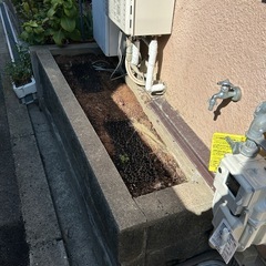 花壇の土の画像