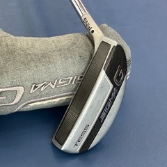 PING SIGMA Gパターの画像