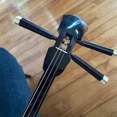 三線　本皮　カラクイ＋2本付きの画像
