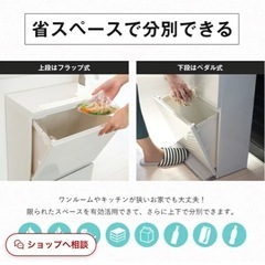 ランキング受賞 ゴミ箱 分別 スリム 縦型 2段 おしゃれ キッチン ふた付き 2分別 大容量 ワゴン 40L ダストボックス リビング ペダル ごみ箱 足踏み タオルラック フラップ式 薄型 新生活 鏡面仕上げ 【 アスベル ASVEL 分別 ペダル 2段 ワイド 40L EC】の画像