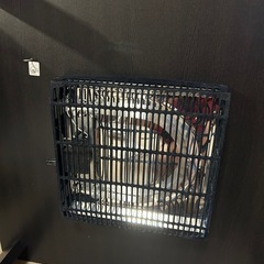 こたつの画像