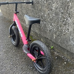 ストライダーの画像