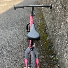ストライダーの画像