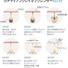 フェイスマスク フェイスパック　カナディアンクレイポアクレンザーの画像