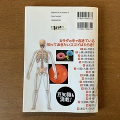 本📚人体のふしぎ精密な解剖図でカラダの仕組みがよくわかる!脳や心臓、肺などの臓器から骨格や筋肉、細胞、遺伝子とDNAまでオールカラーでやさしく図解❗️豆知識も満載白の画像
