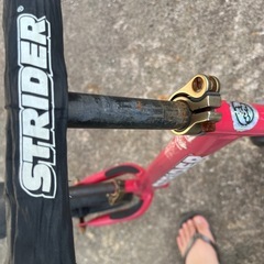 ストライダーの画像