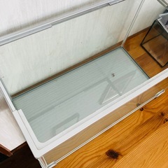 無料　大きな水槽の画像