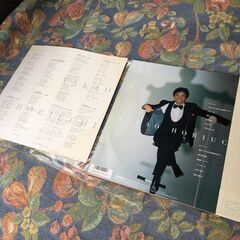 【昭和LPレコード】堀内孝雄 愛しき日々 シングルA面コレクション 帯 歌詞あり 君のひとみはの画像