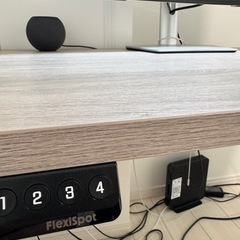 Flexispot EF1B 電動昇降デスク 120×60cmの画像