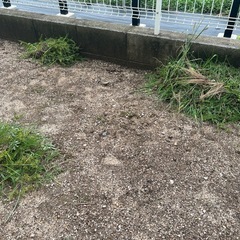 【広島】草取り・草抜きの代行の画像