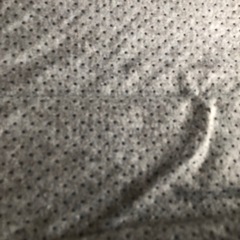 カ－ペット　９月末までの予定の画像