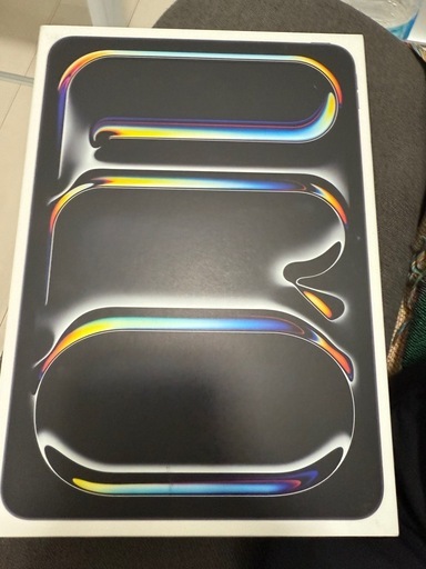 iPadpro 11インチ256GB