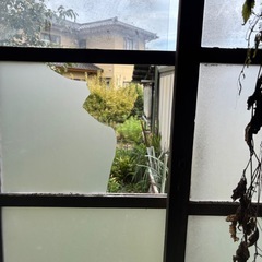木材差し上げますの画像