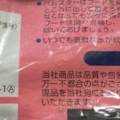 ハムスターの画像