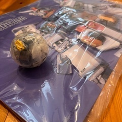 ガンダム 非売品ポスターの画像