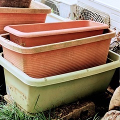 大量プランター☆植木鉢まとめて引き取ってくれる方 の画像