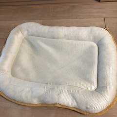 犬用座布団の画像