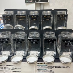 25.09.12    改良めだか　直売所むっちゃんの画像