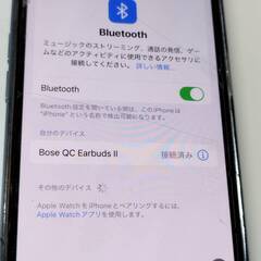 BOSE QuietComfort Earbuds Ⅱ/ワイヤレスイヤホン/シリコンカバーケース付き！の画像