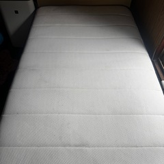 えぬすりーぶの画像