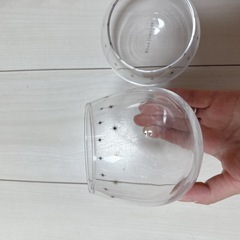 STAR JEWELRY  コップの画像