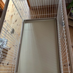 犬ペットケージの画像