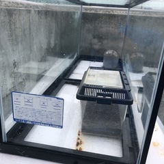 90cmガラス水槽と水槽台の画像