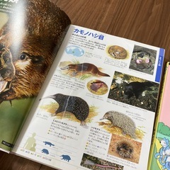 絵本まとめての画像