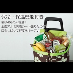ショッピングキャリーの画像