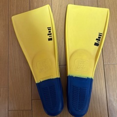 子供用　フィン　スイミング　の画像