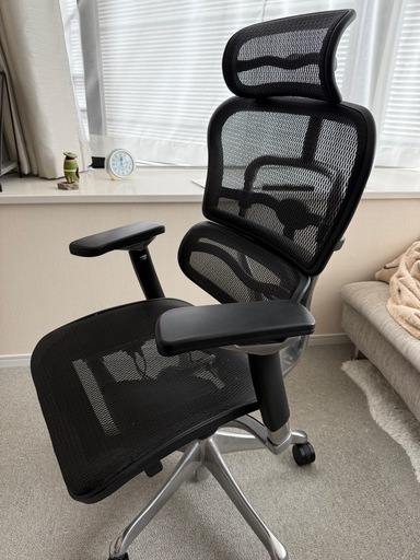 エルゴヒューマンPRO ブラック