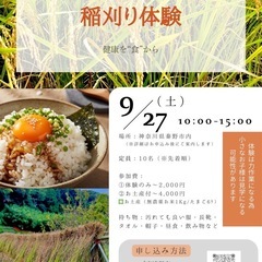 \\稲刈り体験会🌾//
