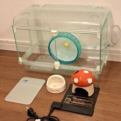 サムネイル