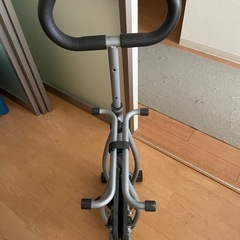 【今月21日までの取引値引き可】レッグマシーンの画像