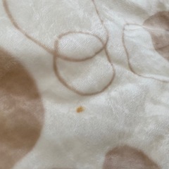 こたつ（コタツ掛け布団付き）の画像