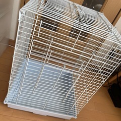 鳥かご　カメレオン　飼育　の画像