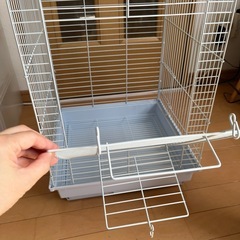 鳥かご　カメレオン　飼育　の画像